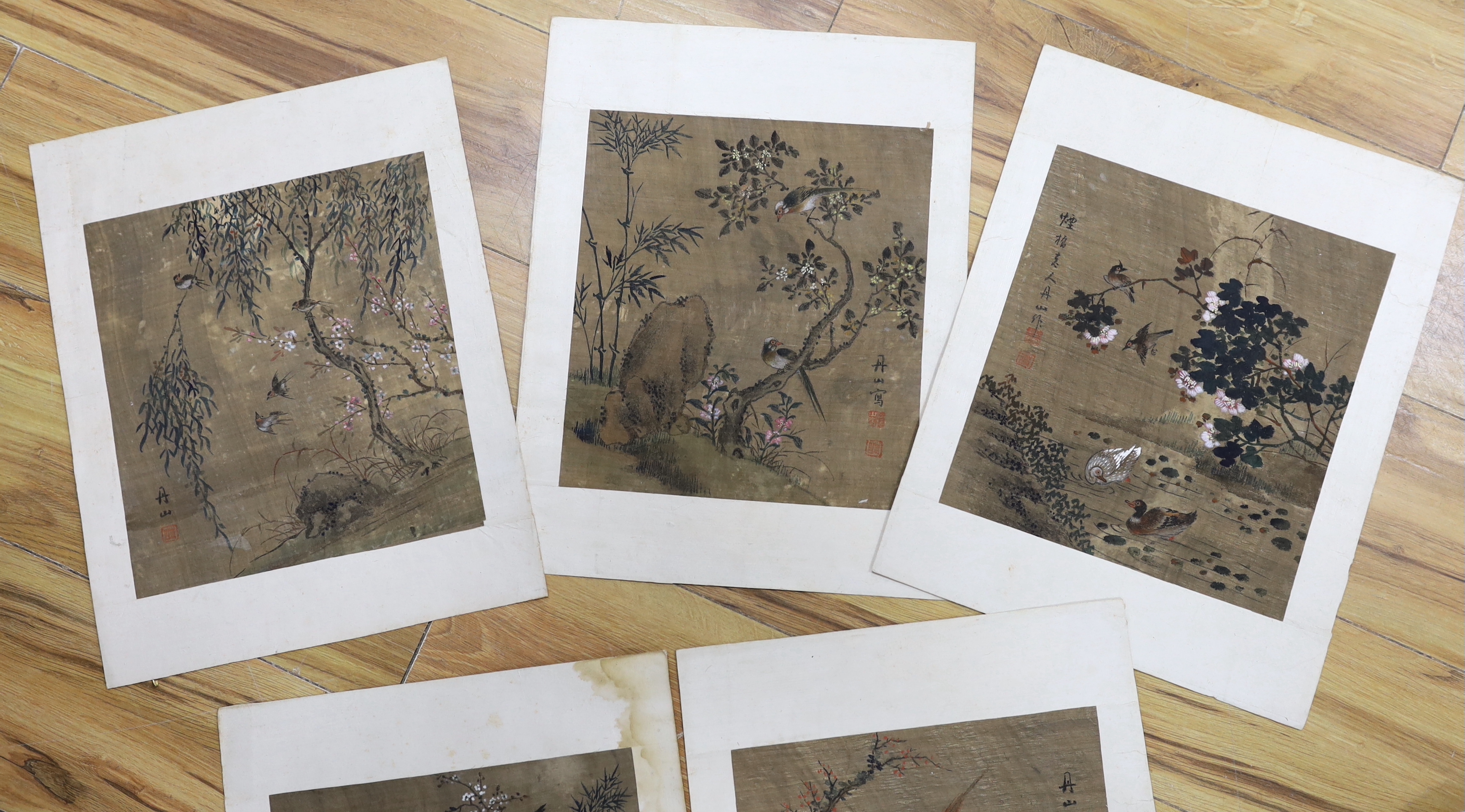 A set of Six Chinese Qing style watercolours, possibly on silk, Birds amongst flowers, 39 x 30cm, unframed